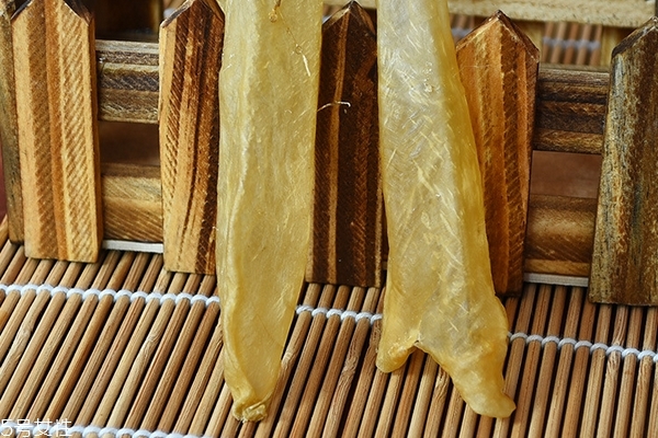 花膠為什么會有小蟲 這個(gè)是正?，F(xiàn)象