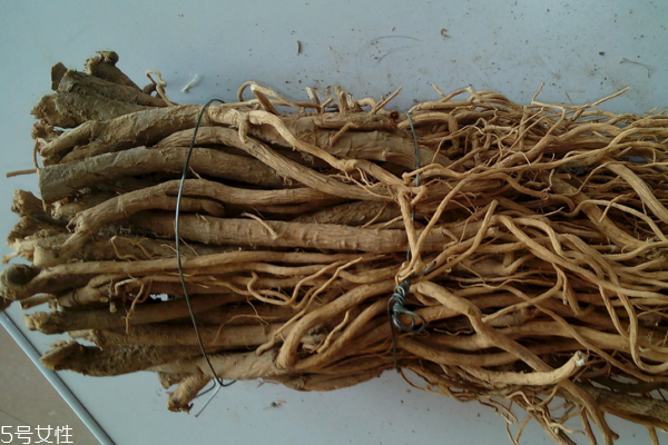 黃芪為什么會(huì)生蟲 這個(gè)是正?，F(xiàn)象