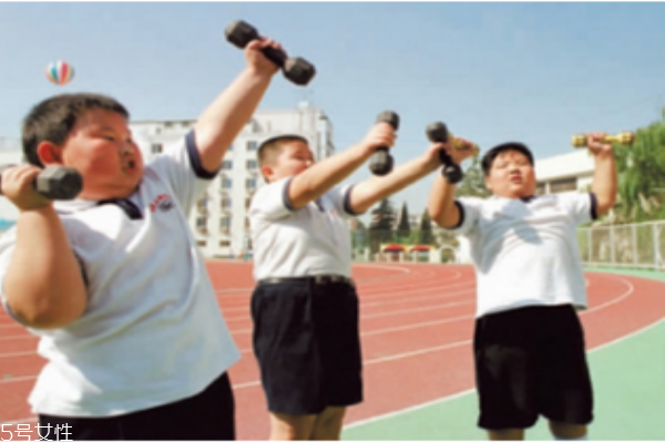 應該注意小孩脂肪和膽固醇的攝取量嗎？
