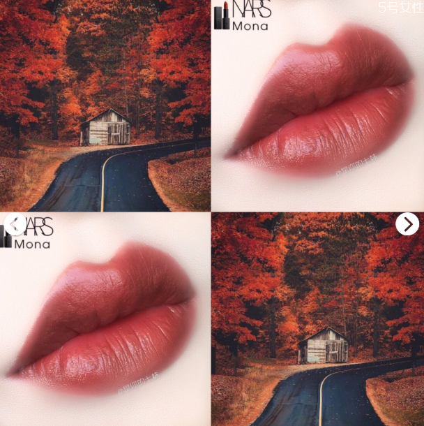 nars mona專(zhuān)柜賣(mài)多少 nars mona試色