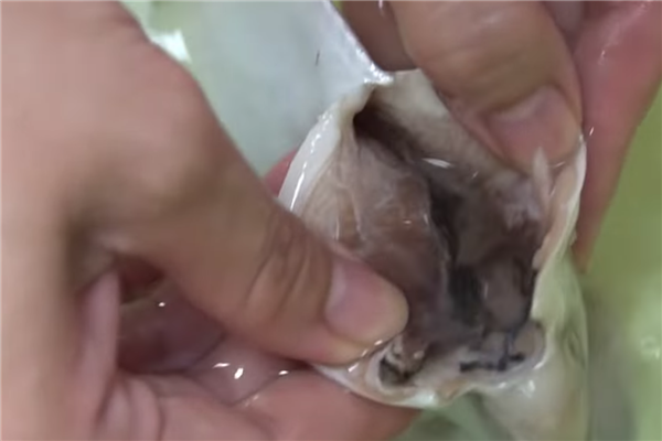 白鯧魚(yú)怎么做好吃 酸甜可口番茄燜白鯧的做法
