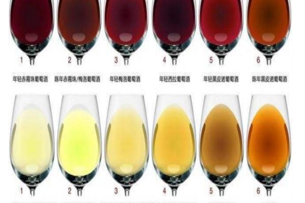 酒有多少種類(lèi)呢 白酒和啤酒的區(qū)別