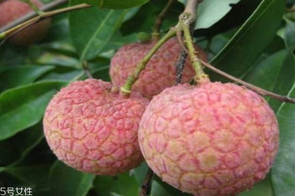 荔枝有什么營(yíng)養(yǎng)價(jià)值呢 吃荔枝有什么好處呢