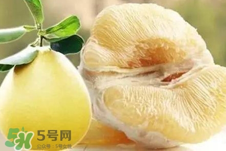 蜜柚是哪個季節(jié)的水果？蜜柚和沙田柚的區(qū)別是什么？