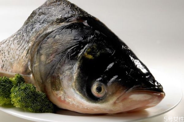 鳙魚有什么營養(yǎng)價(jià)值呢 鳙魚怎么做好吃呢