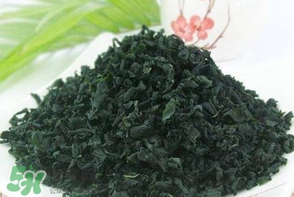 怎么辨別螺旋藻的真假？買螺旋藻怎么挑？