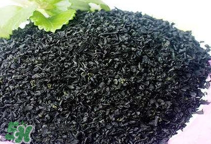 怎么辨別螺旋藻的真假？買螺旋藻怎么挑？