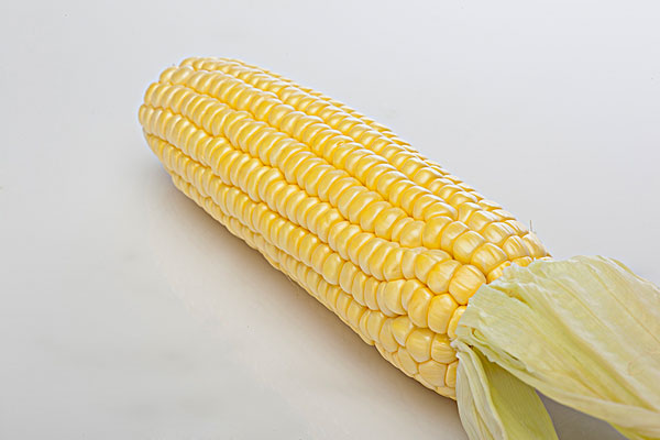 吃玉米的最佳時間 玉米?？梢灾竺鏃l嗎