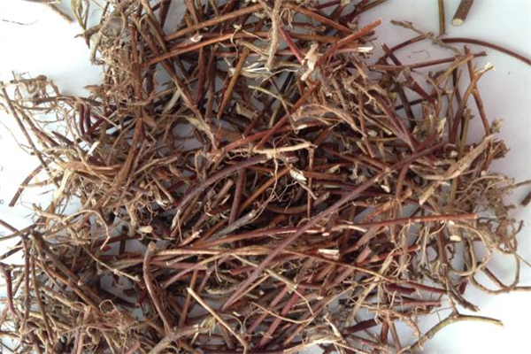 雞骨草對(duì)脂肪肝有用嗎 雞骨草對(duì)腎有損害嗎