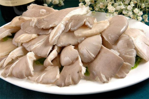 平菇為什么會(huì)長(zhǎng)白毛 平菇為什么發(fā)黃