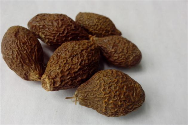 胖大?？梢灾温匝恃讍?胖大?？梢灾慰人詥?></p><h3>胖大海的功效與作用</h3><p>第一、改善咽部疾病</p><p>很多人出現(xiàn)咽喉腫痛是因?yàn)樵谘屎聿课挥袩岫净蛘叻螣岬鹊葐栴}導(dǎo)致，在治療的時(shí)候要以清利咽喉和去熱毒為主，而胖大海本身屬于寒涼性的藥物，它可以幫助達(dá)到泄肺熱和清熱解毒效果，如果能夠搭配上其他的同類中藥服用，效果還會更理性一些，不僅如此，它還能夠幫助改善聲音嘶啞甚至是失音問題呢。</p><p>第二、改善肺熱、肺燥和咳嗽問題</p><p>如果風(fēng)熱侵蝕到人的肺部就會導(dǎo)致咳嗽等等問題出現(xiàn)，而且，這樣的情況下要么沒有痰，要么痰的顏色是非常黃而且很濃的，這個(gè)時(shí)候選擇服用胖大海的話則能夠幫助改善這種咳嗽癥狀，但是，直接用它泡水改善效果并不明顯，最好是搭配上魚腥草、蘆葦根或者是黃芩等等一起來服用。</p><p>第三、改善大便干燥問題</p><p>胖大海本身是寒涼性的藥物，在清腸通便方面有比較明顯的效果，所以，在臨床上可以用于改善因?yàn)榇竽c熱積導(dǎo)致的便秘或者排便不通暢問題，不過，它僅僅適合癥狀比較輕的情況，如果問題嚴(yán)重則需要搭配其他的藥物才行。</p> </div>
<div align=