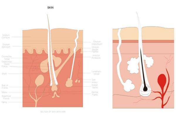 糾結(jié)身體乳哪個(gè)牌子好？從功效下手才穩(wěn)