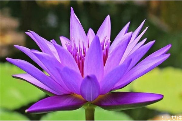 網(wǎng)上認(rèn)識的相親男怎么發(fā)展 網(wǎng)上相親的男人聊天不主動(dòng)