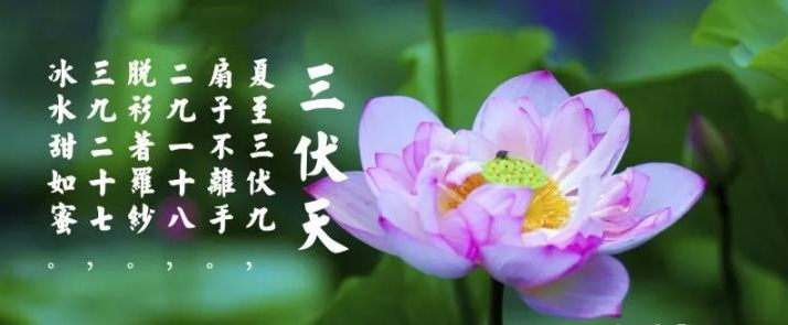 三伏天是什么？三伏天應(yīng)注意什么？
