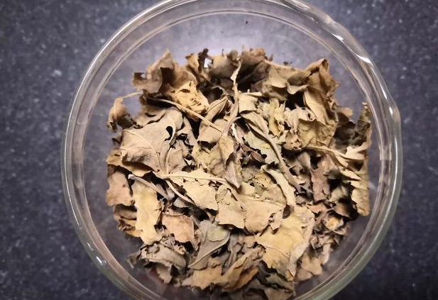喝桑葉茶能減肥嗎?有什么副作用？