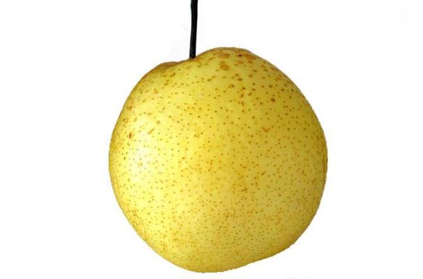 梨子的營養(yǎng)價(jià)值及功效 吃梨子的好處