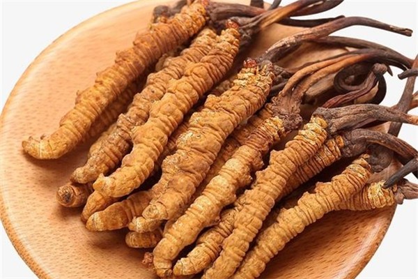 蟲(chóng)草怎么吃最有效 蟲(chóng)草可以提高免疫力嗎