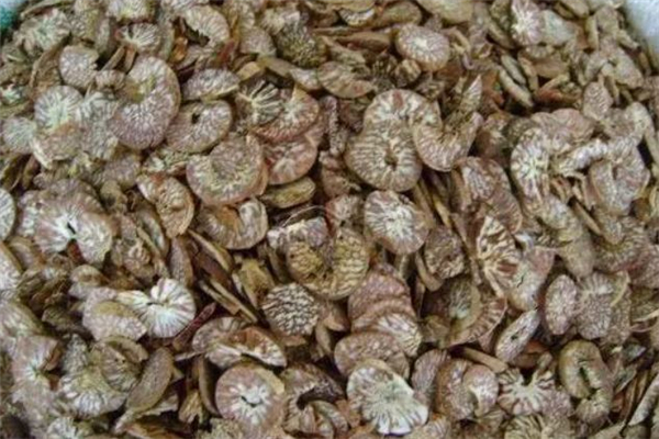 吃檳榔會(huì)查出來(lái)酒駕嗎 檳榔含有酒精嗎