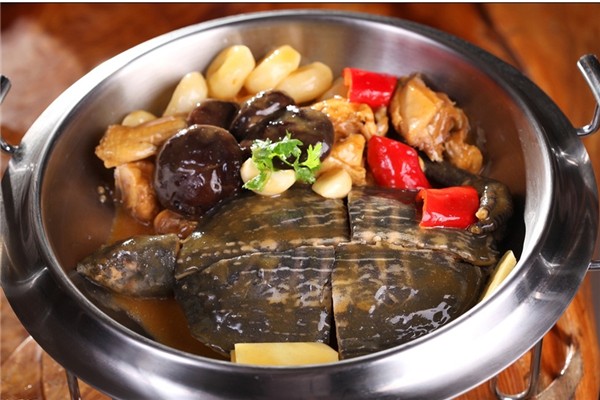 甲魚(yú)是涼性還是熱性 甲魚(yú)屬于魚(yú)類(lèi)嗎