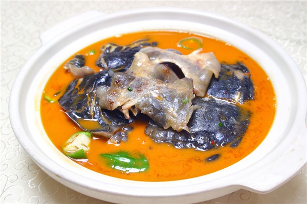 甲魚(yú)是涼性還是熱性 甲魚(yú)屬于魚(yú)類(lèi)嗎