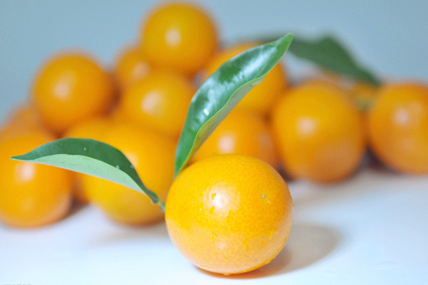 金桔的營養(yǎng)價(jià)值 金桔能和蜂蜜一起吃嗎