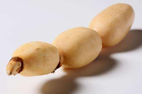 蓮藕對(duì)痛風(fēng)有影響嗎 痛風(fēng)可以吃蓮藕嗎