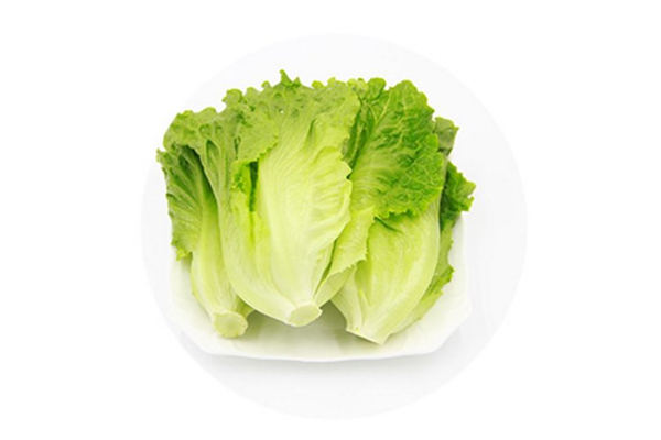 生菜的熱量是多少大卡 生菜吃了會(huì)不會(huì)長胖