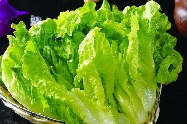 生菜的熱量是多少大卡 生菜吃了會(huì)不會(huì)長胖
