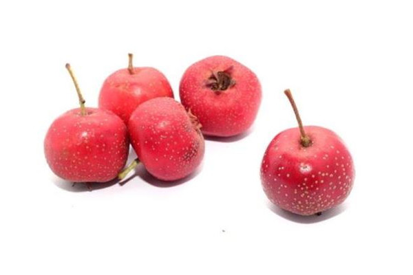 山楂有維生素c嗎 山楂有什么營(yíng)養(yǎng)價(jià)值