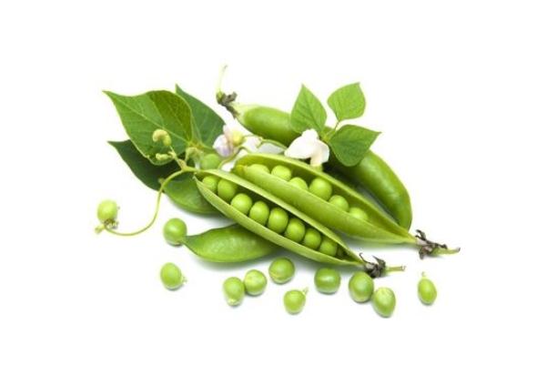 豌豆會(huì)不會(huì)長胖 豌豆會(huì)不會(huì)引起脹氣