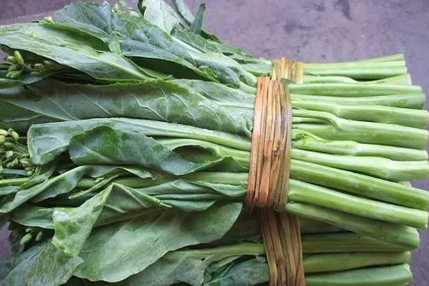 菜苔孕婦可以吃嗎 菜苔的營(yíng)養(yǎng)價(jià)值及功效