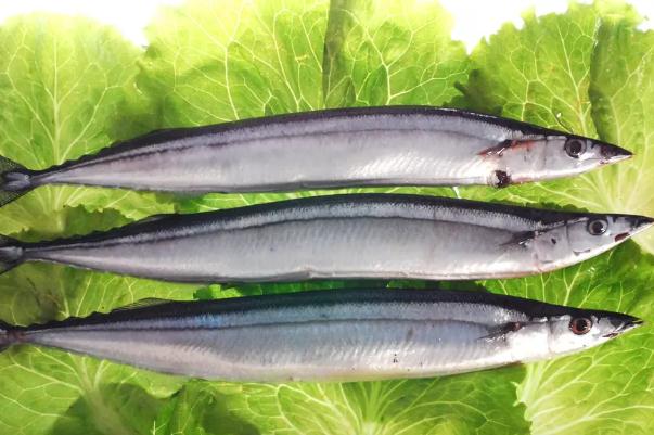 秋刀魚(yú)孕婦可以吃嗎 秋刀魚(yú)要去內(nèi)臟嗎