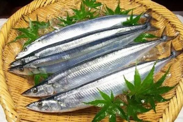 秋刀魚(yú)孕婦可以吃嗎 秋刀魚(yú)要去內(nèi)臟嗎