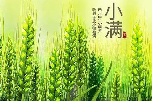 小滿(mǎn)可以剪頭發(fā)嗎 小滿(mǎn)理發(fā)好嗎