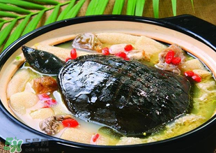 甲魚(yú)多少錢(qián)一斤 甲魚(yú)多少錢(qián)一斤市場(chǎng)價(jià)2022