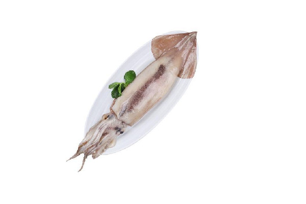 新鮮魷魚會有寄生蟲嗎 新鮮魷魚可以生腌嗎