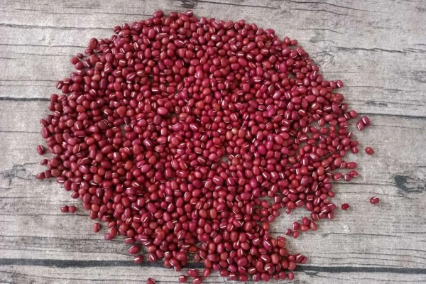 紅豆發(fā)豆芽可以吃嗎 紅豆發(fā)芽要多長時(shí)間