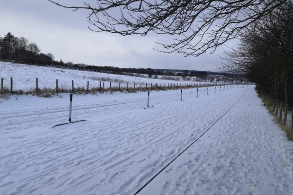 男子醒來(lái)發(fā)現(xiàn)被幾米高雪困在宿舍 下雪有什么好的寓意