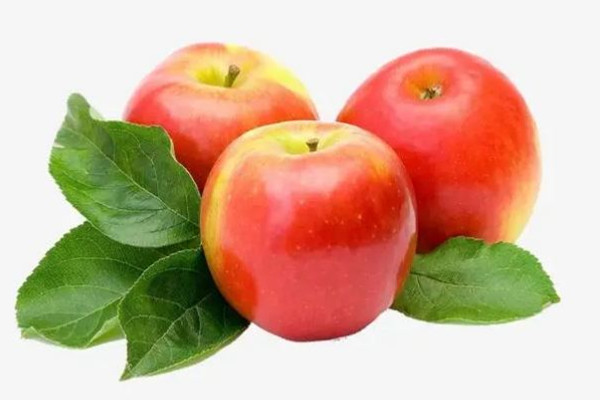 蘋(píng)果燉肉有什么功效 蘋(píng)果燉肉好吃嗎