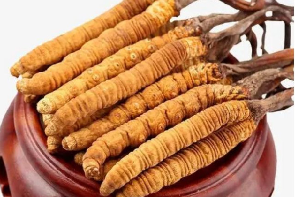 冬蟲(chóng)夏草可以放多久 冬蟲(chóng)夏草會(huì)發(fā)霉嗎