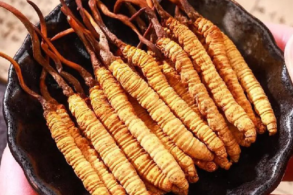 冬蟲夏草的價(jià)位大概是多少 冬蟲夏草哪個(gè)品牌質(zhì)量好