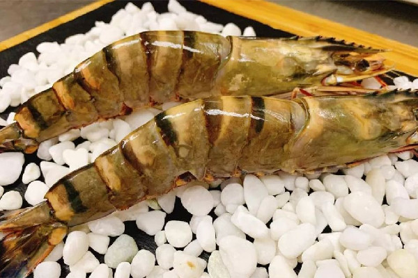 黑虎蝦的蝦線(xiàn)怎么挑 黑虎蝦要去蝦線(xiàn)嗎