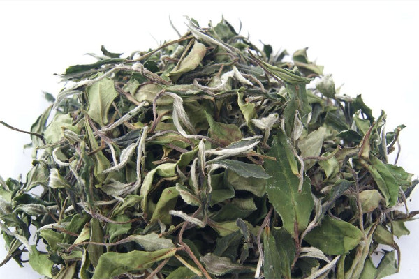 白牡丹茶喝了會(huì)失眠嗎 白牡丹茶對身體好嗎