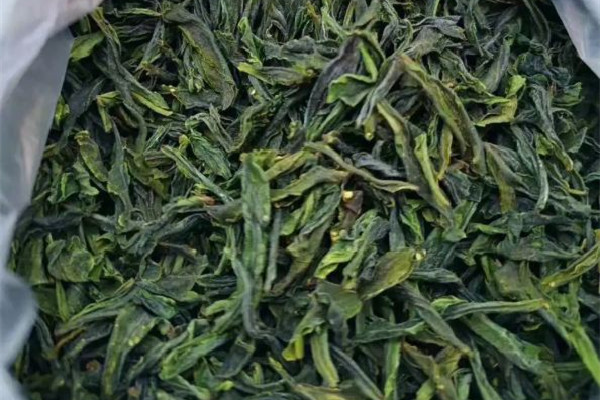 六安瓜片屬于什么茶類(lèi) 六安瓜片是什么香型